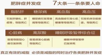 巴比兔減肥餅干價格與正規性全面解析